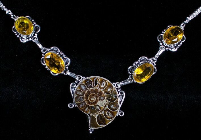 Fossil Ammonite Necklace #3591